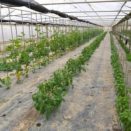 Il Melograno Farm stay